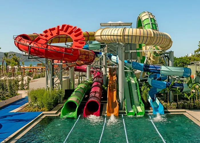 Liberty Signa 费特希耶