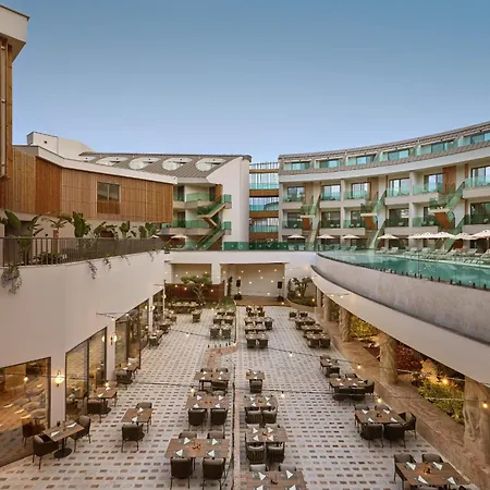 Liberty Signa 페티예